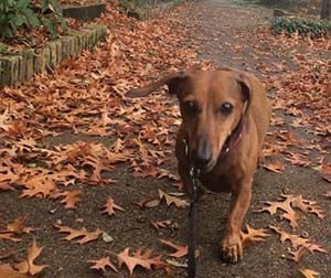 Reflections on Growth, Gratitude, and the Power of Connection